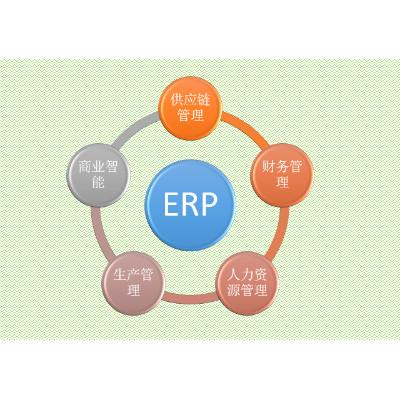 从功能到价值 企业管理软件开发的全景解析